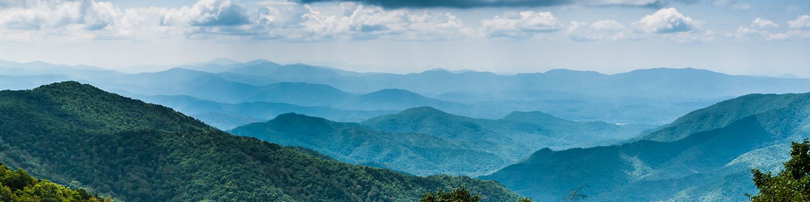 What Is Included on a Property Survey?