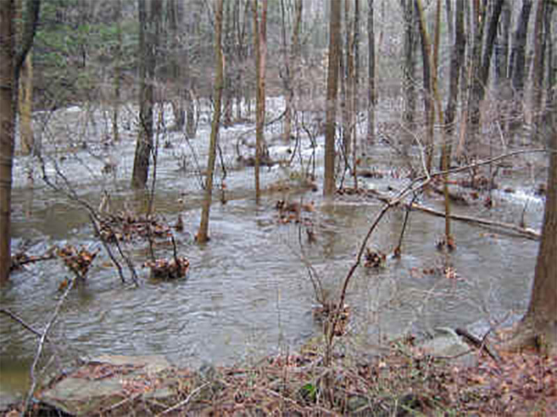 Elevation Certificates and Flood Plain Consulting Services